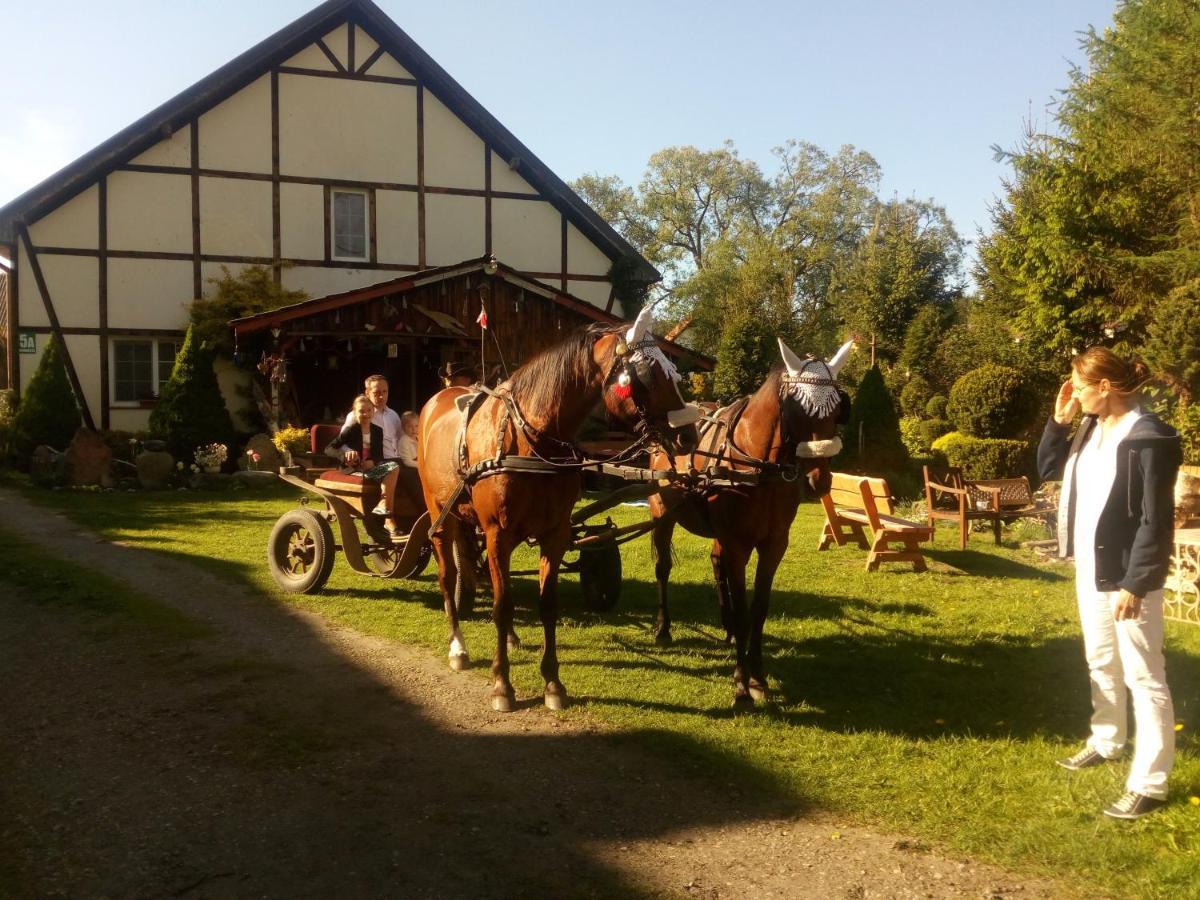 Pensjonat Kalina Komorze Buitenkant foto